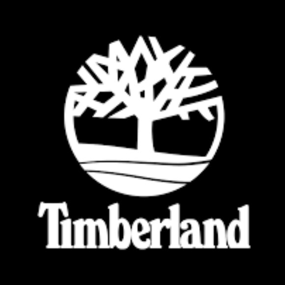 Timberland EarthKeepers Savin Hill Double Buckle Ankle Boot in Dark Brown - Picture 16 of 16